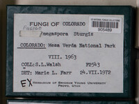 Image Associated With the Occurence